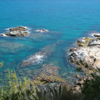 Ritual Mediterráneo - tratamiento facial y corporal