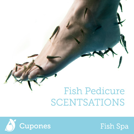 fish-pedicure-scentsations